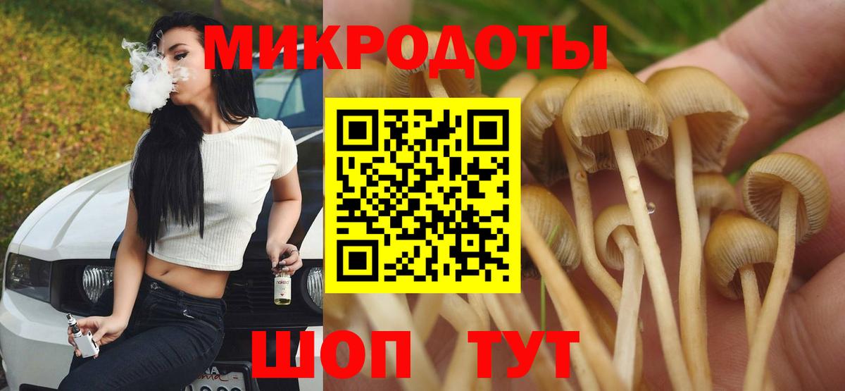 Псилоцибиновые грибы Psilocybine cubensis Бахчисарай